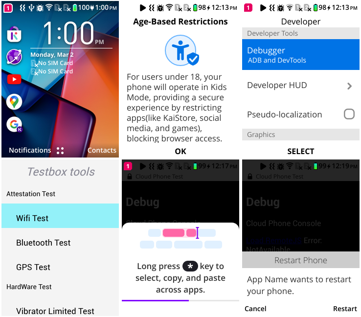 Screenshots from the TCL Go Flip 4 5G